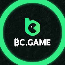 Experience the Thrill of Online Gaming at BC Game DE