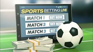 Exploring the Benefits of Online Betting with Viva Bet
